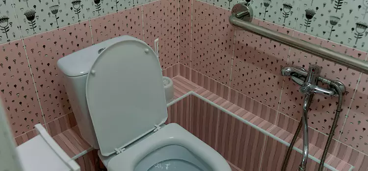 Meeting Diverse Needs With Accessible Restroom Solutions in Madera, CA